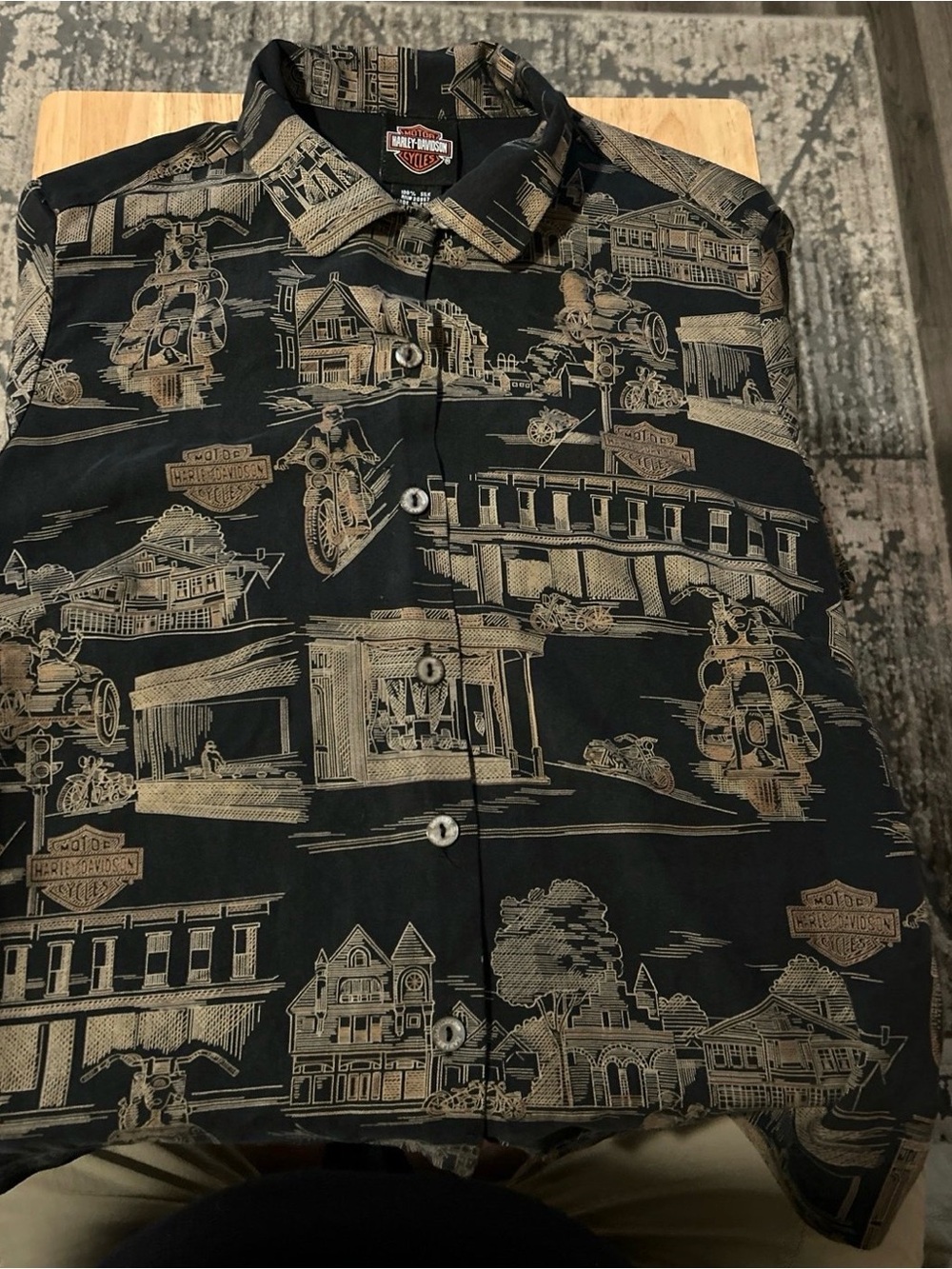 Harley-Davidson boys Black & Tan Graphic Button-Up Shirt